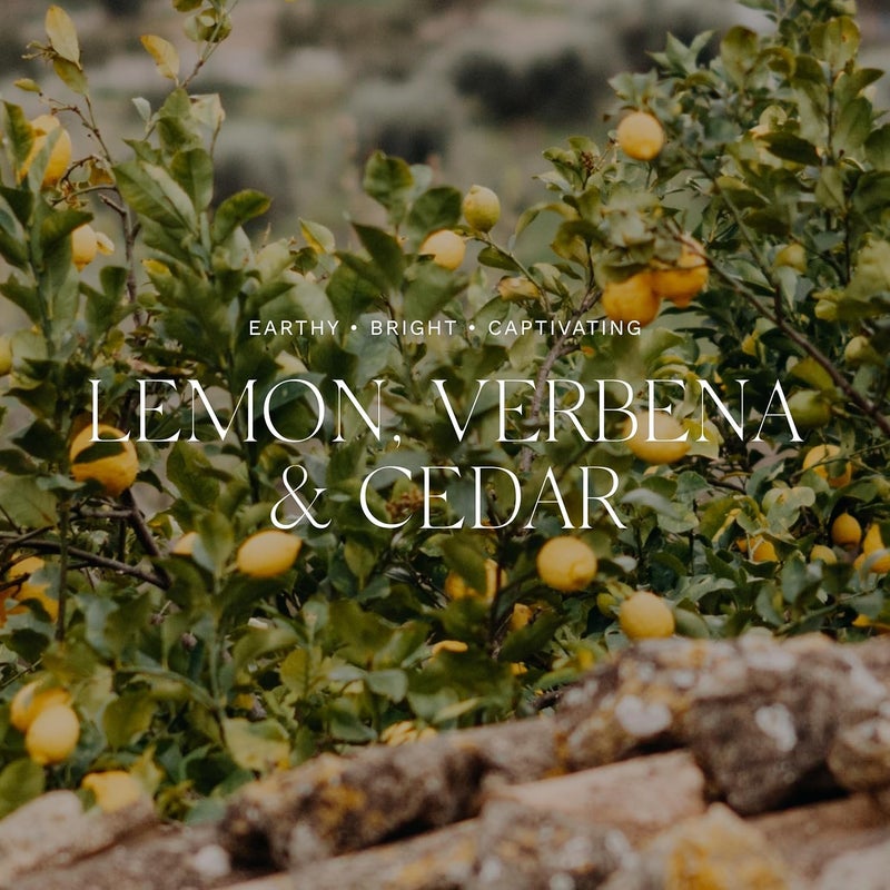 Antica Farmacista Home Ambiance Reed Diffuser - Lemon, Verbena & Cedar, 250 ml - Image 5